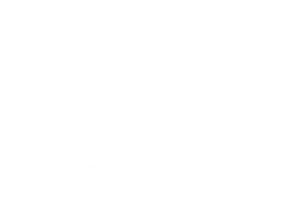 DamGood Detailing